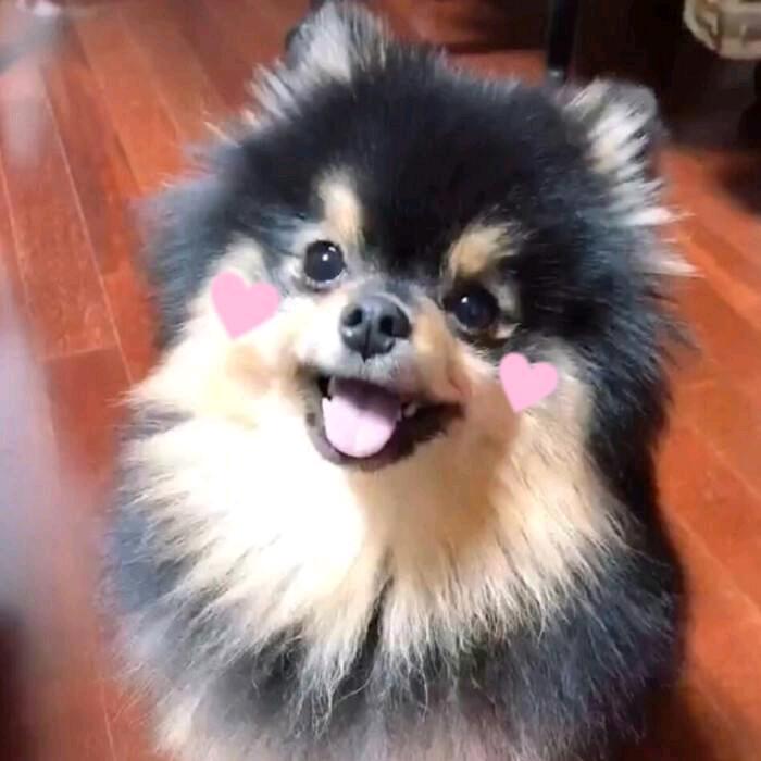 BOoBOo。.