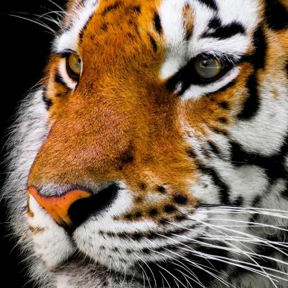 用户6327091330802蹦蹦虎，，