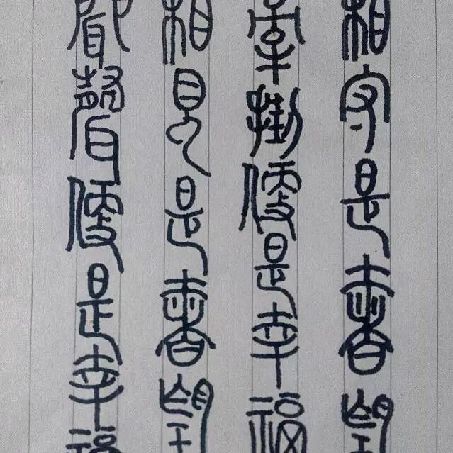 母老虎