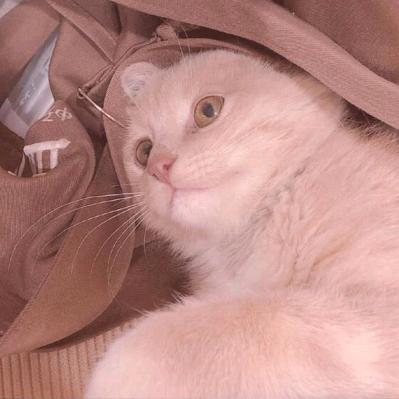 不觉眠
