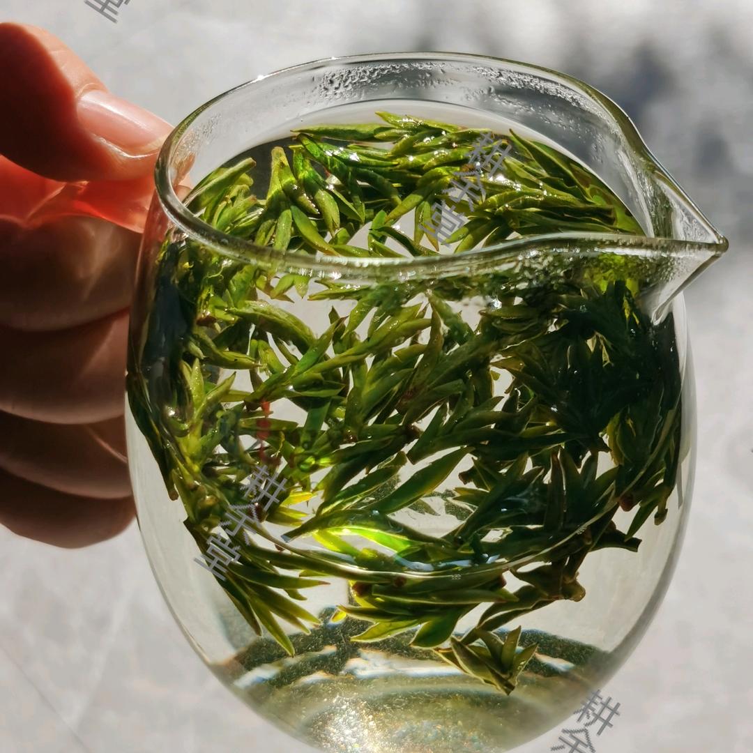 高密卖茶叶的小李