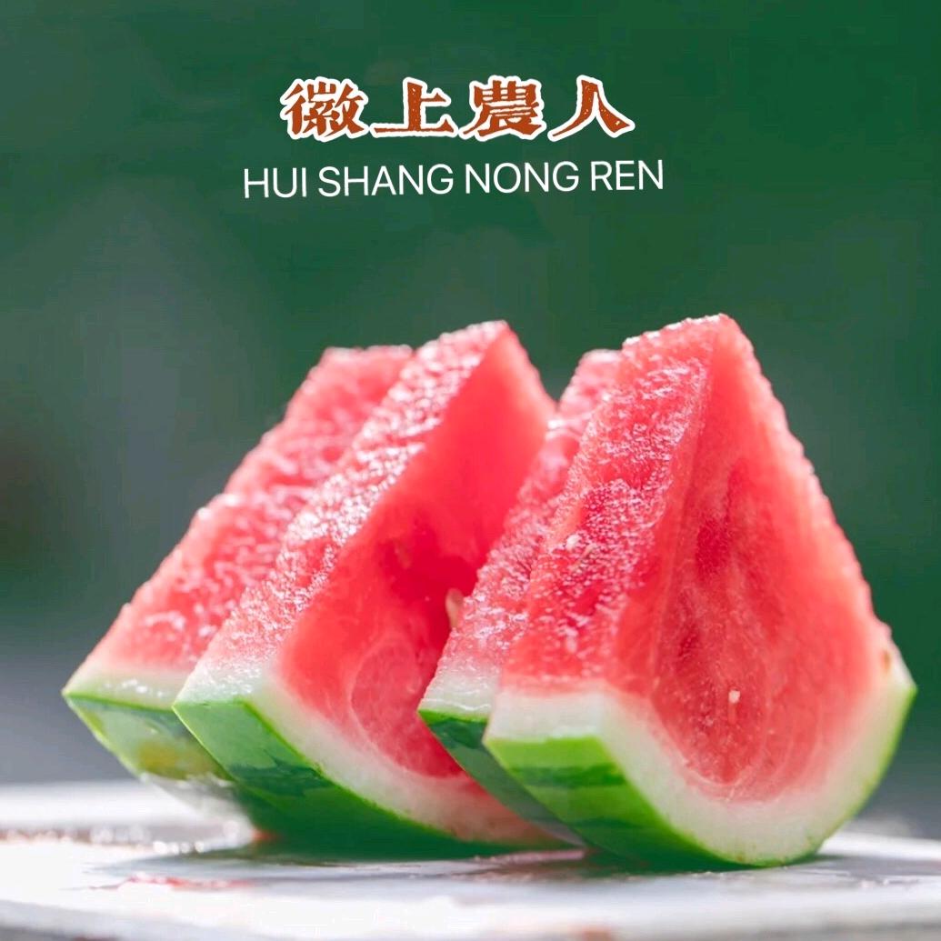 乡村小左