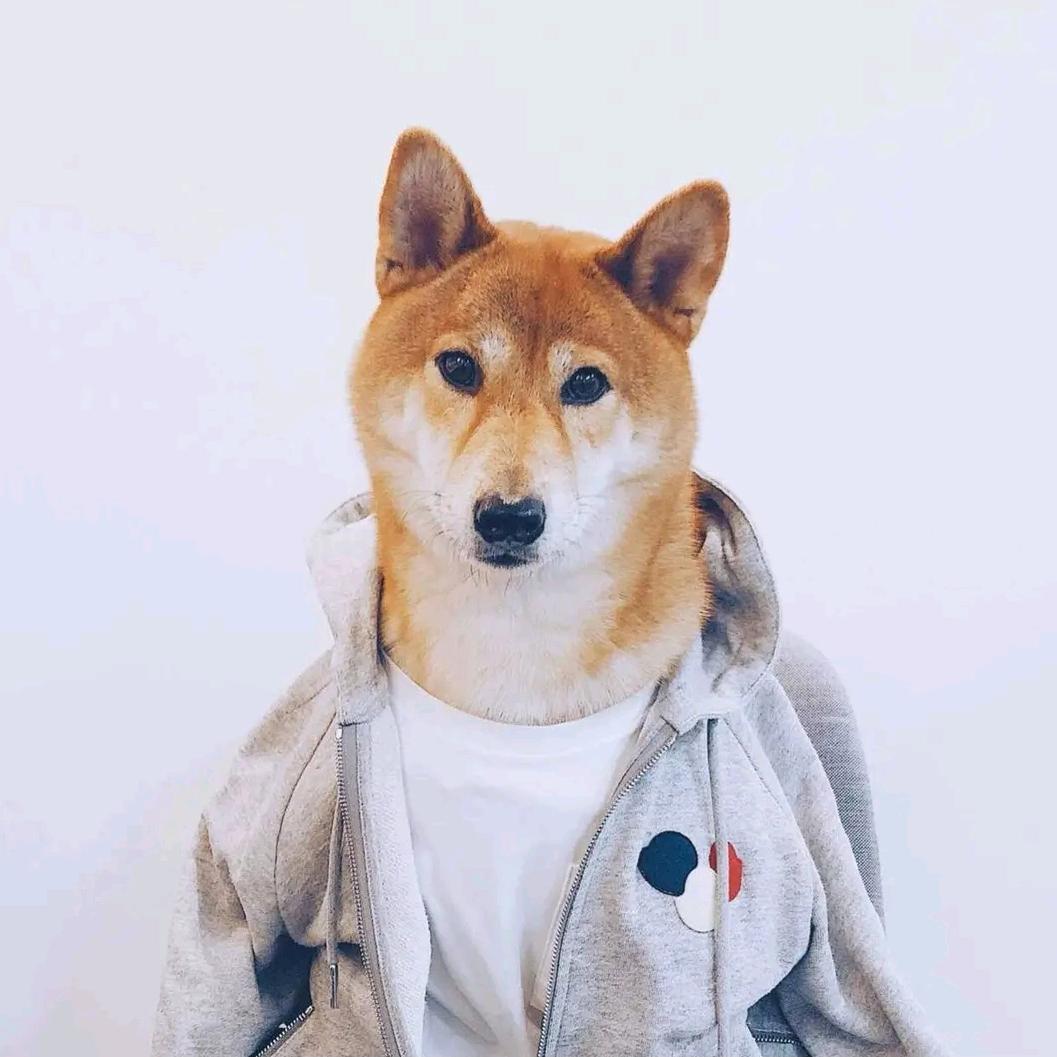 一个迷人的混蛋～