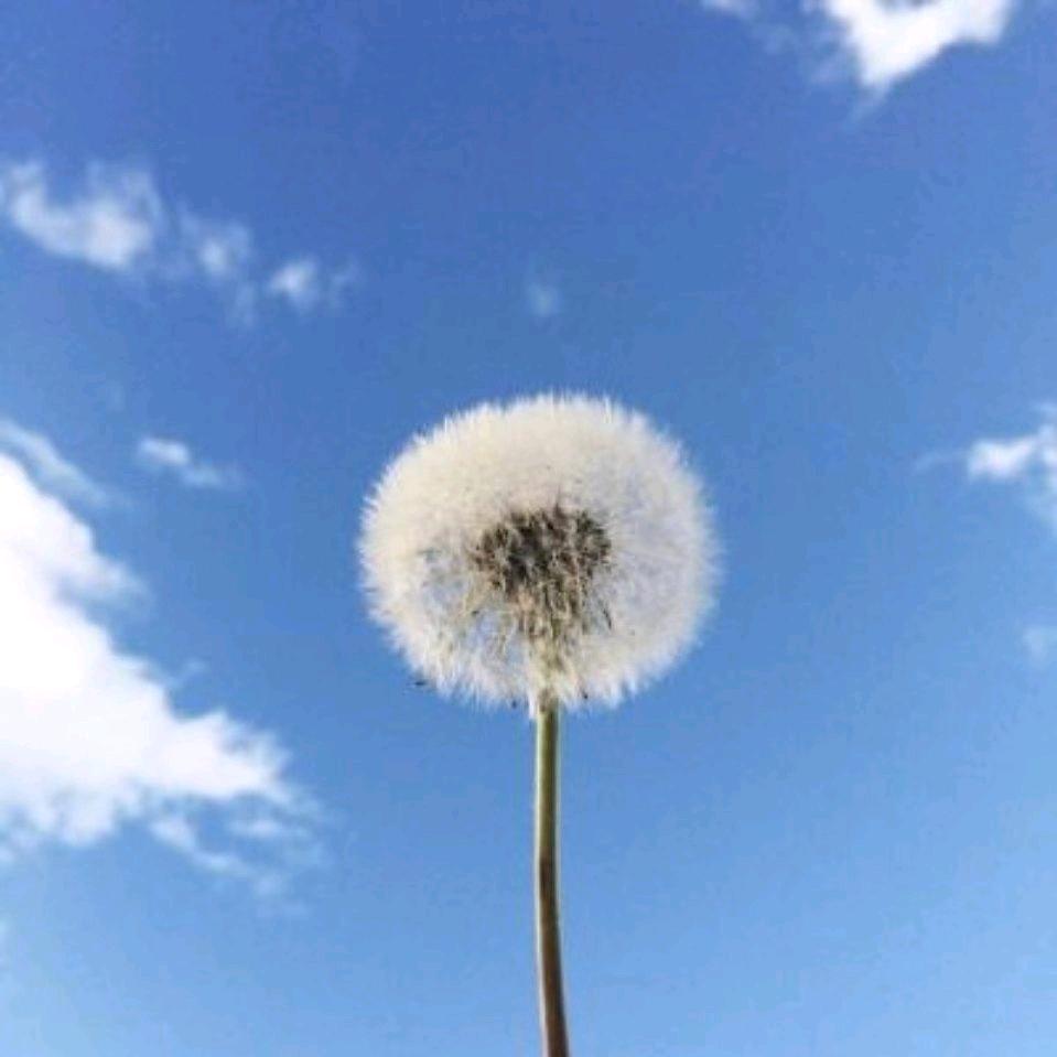 静好あ岁月
