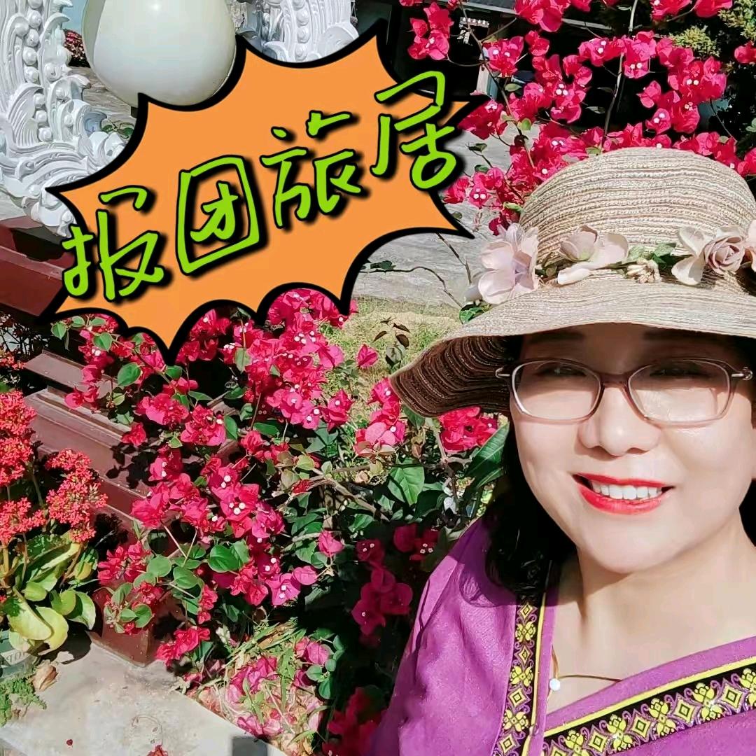 兰姐抱团旅居