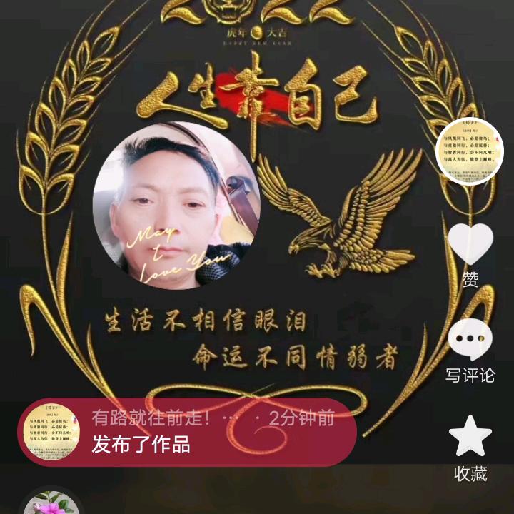 情为何物