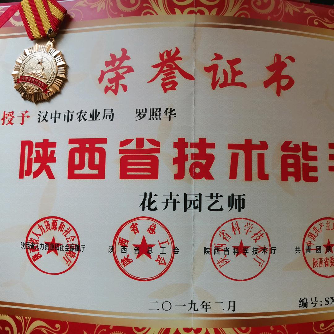 汉中罗哥花卉批发基地