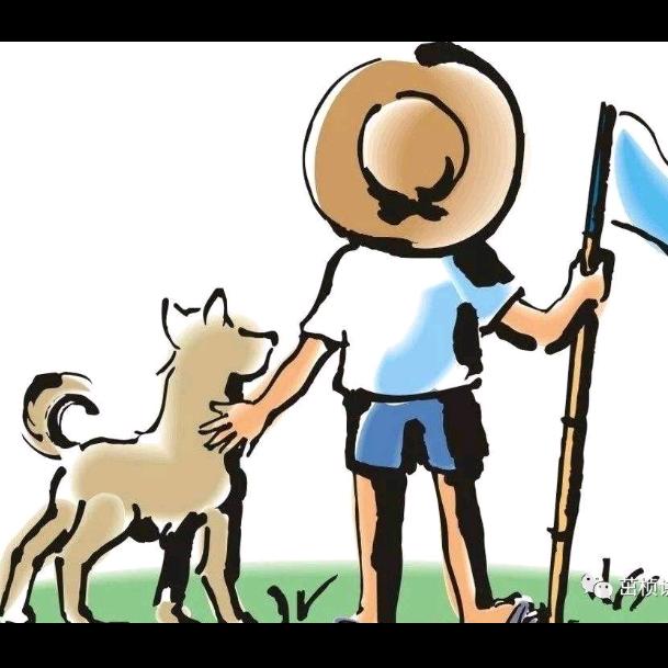 农夫三犬有点田