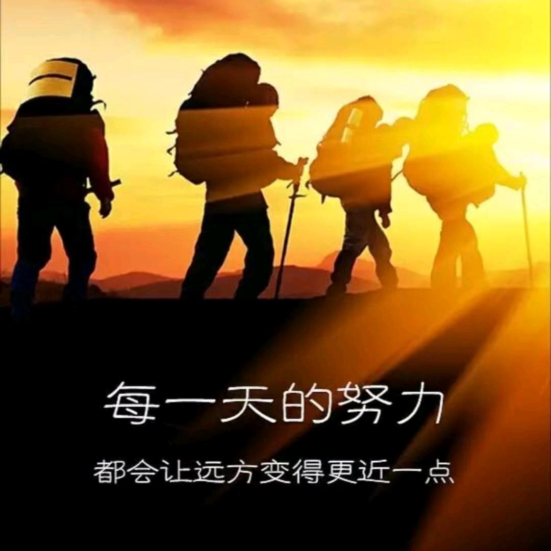 LH阳66