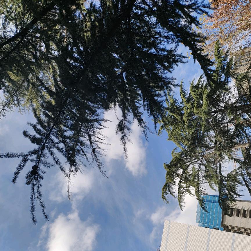 姜老头爱钓小海月