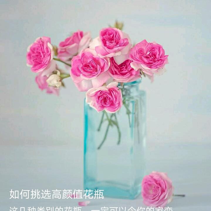 点点滴滴小幸福