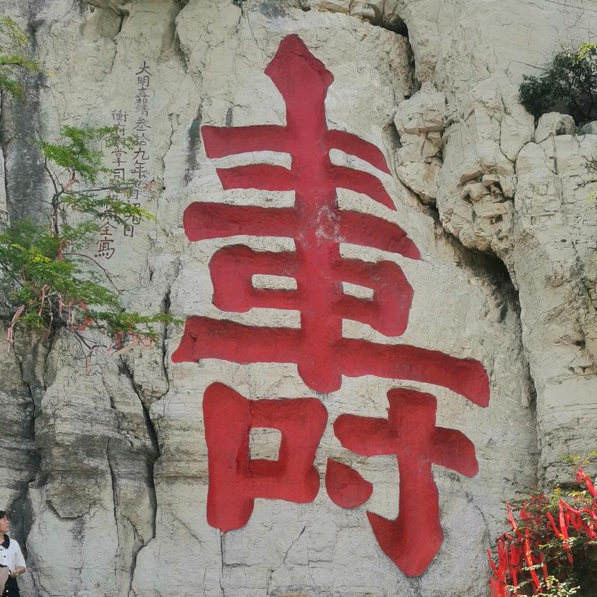 人生（新房团购）