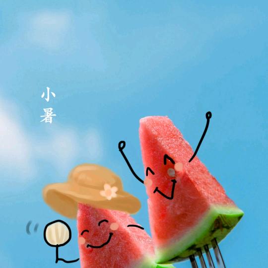 囫囵吞枣