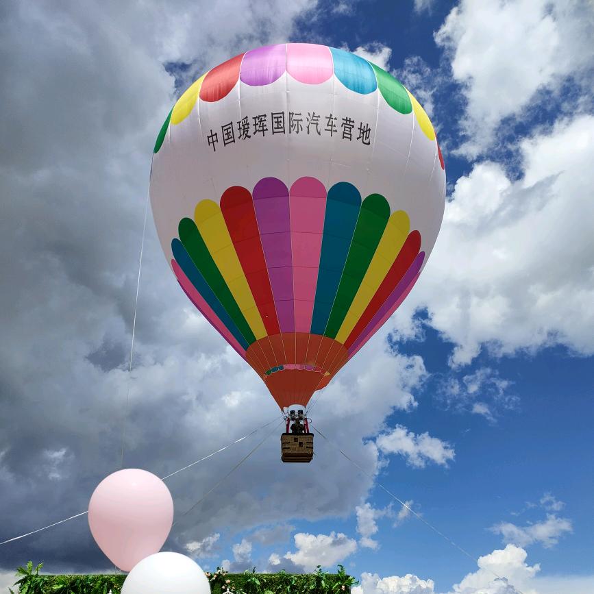 人生就俩字得劲