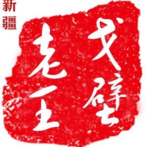 新疆戈壁老王