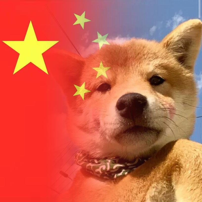 蜜鲤