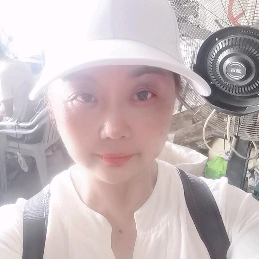 起飞的大雁