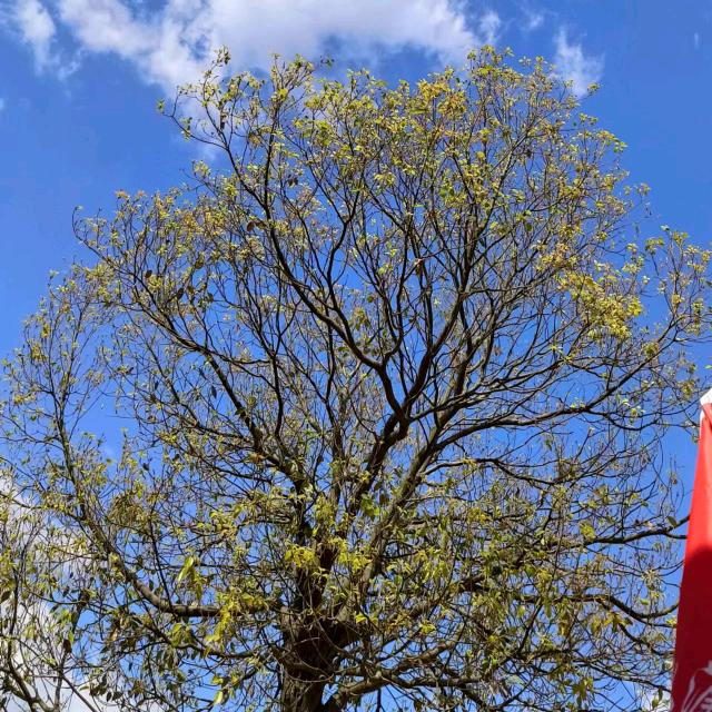 水濂山劲好玩越野基地～藜菇娘