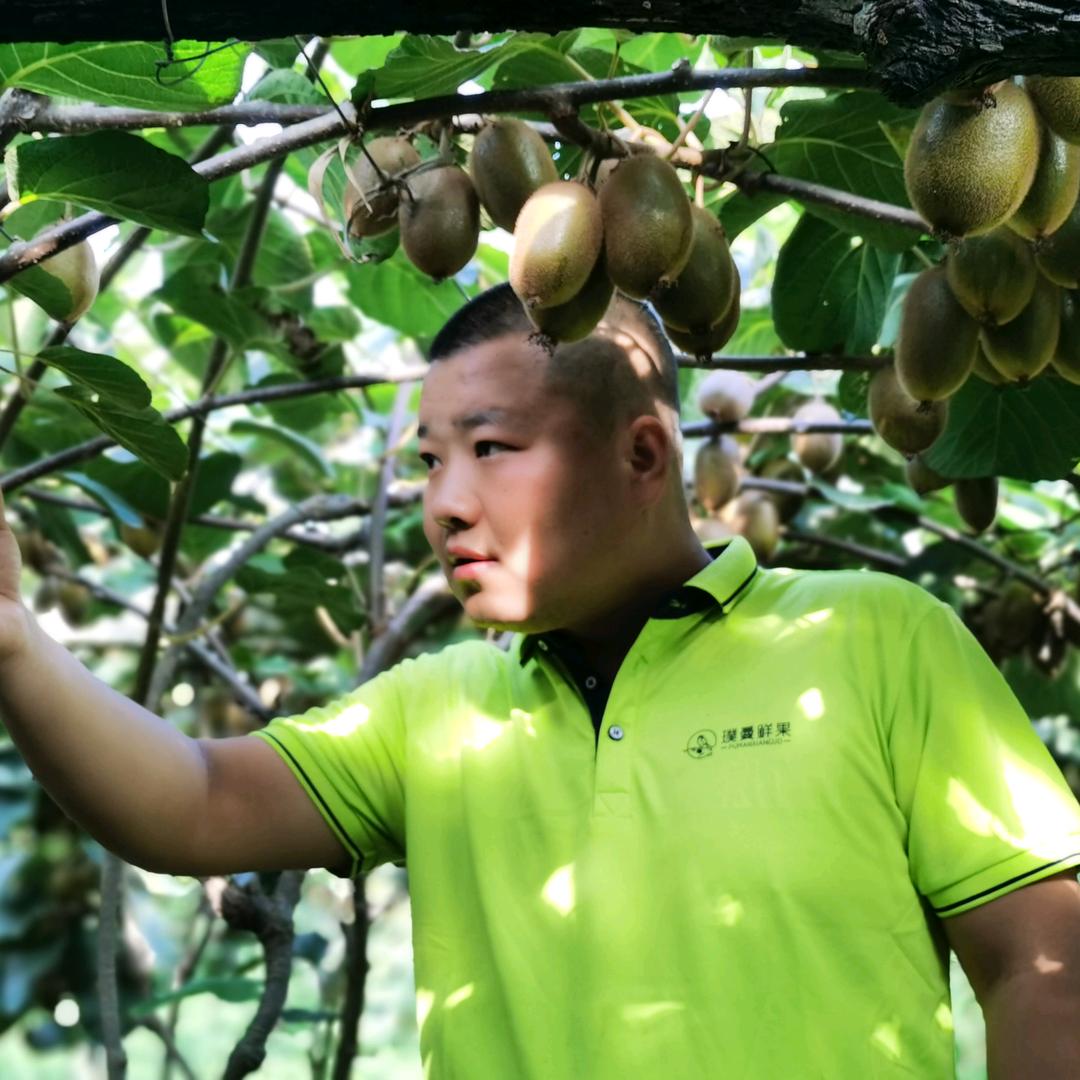 璞曼鲜果生鲜企业店