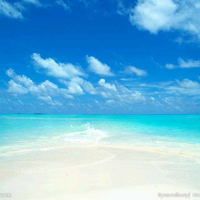 心想事成🌹🌹