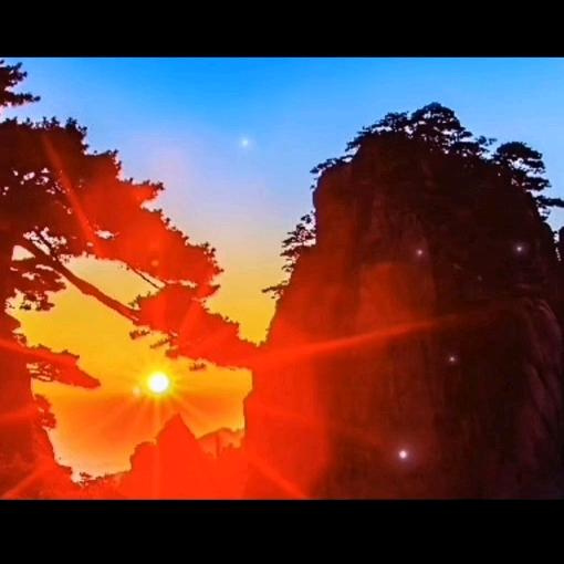 🌴陆@也🌇