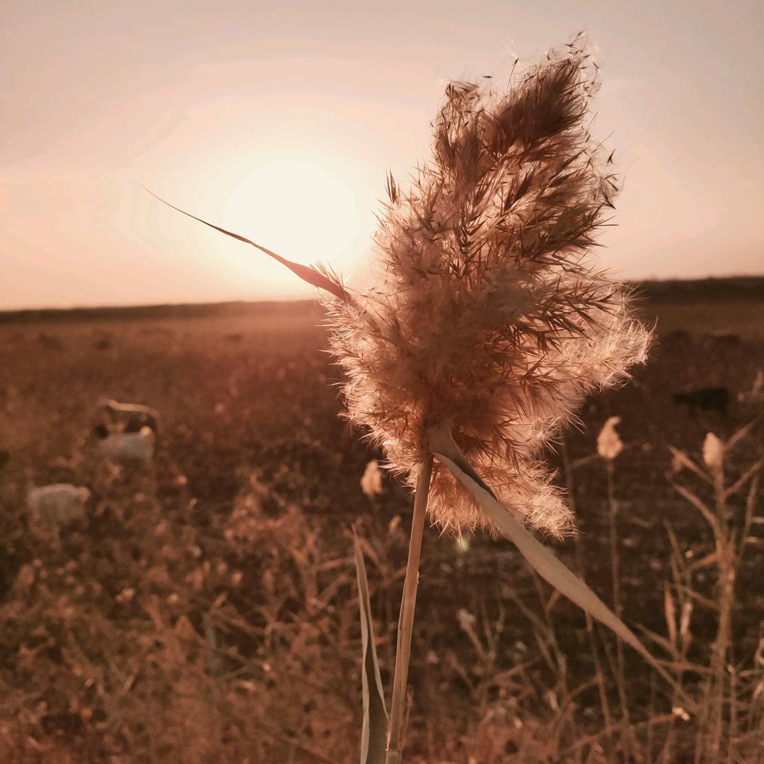 静。。。。。。。