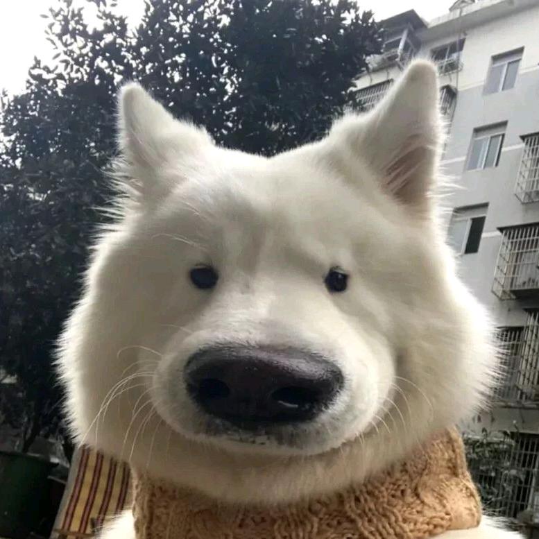不吃辣的阿四