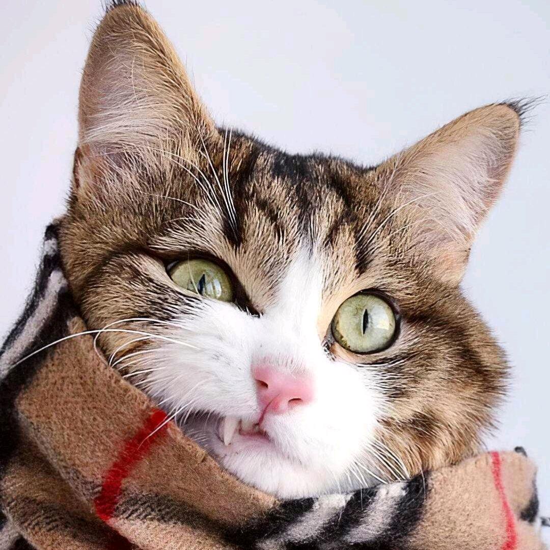 打乒乓球的乔丹