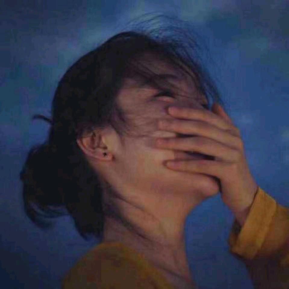 淮上菊韵