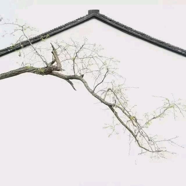 柜柜软件服务商