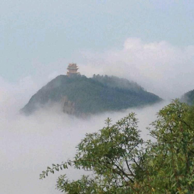 彬排有礼