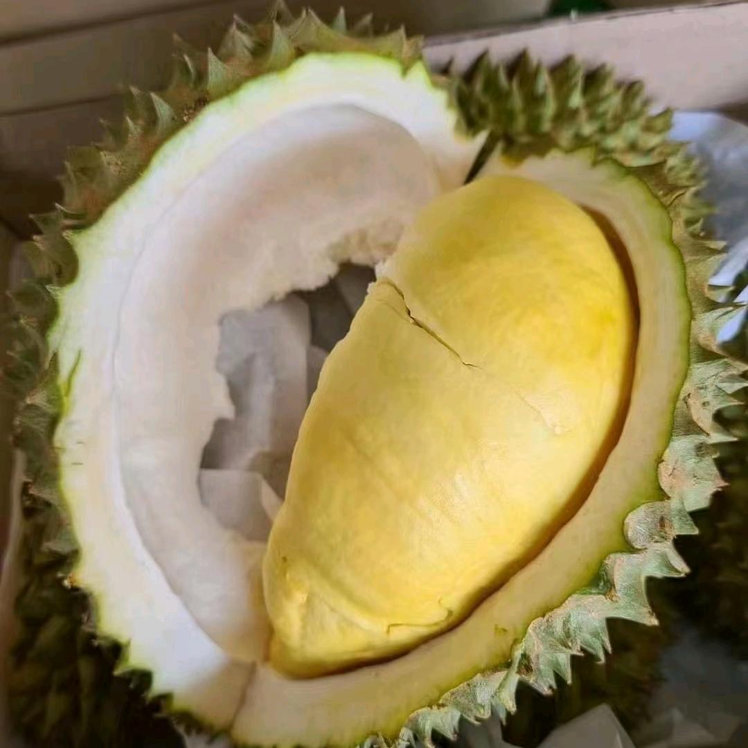 有家尧王鲜果(中央华府店)专用号