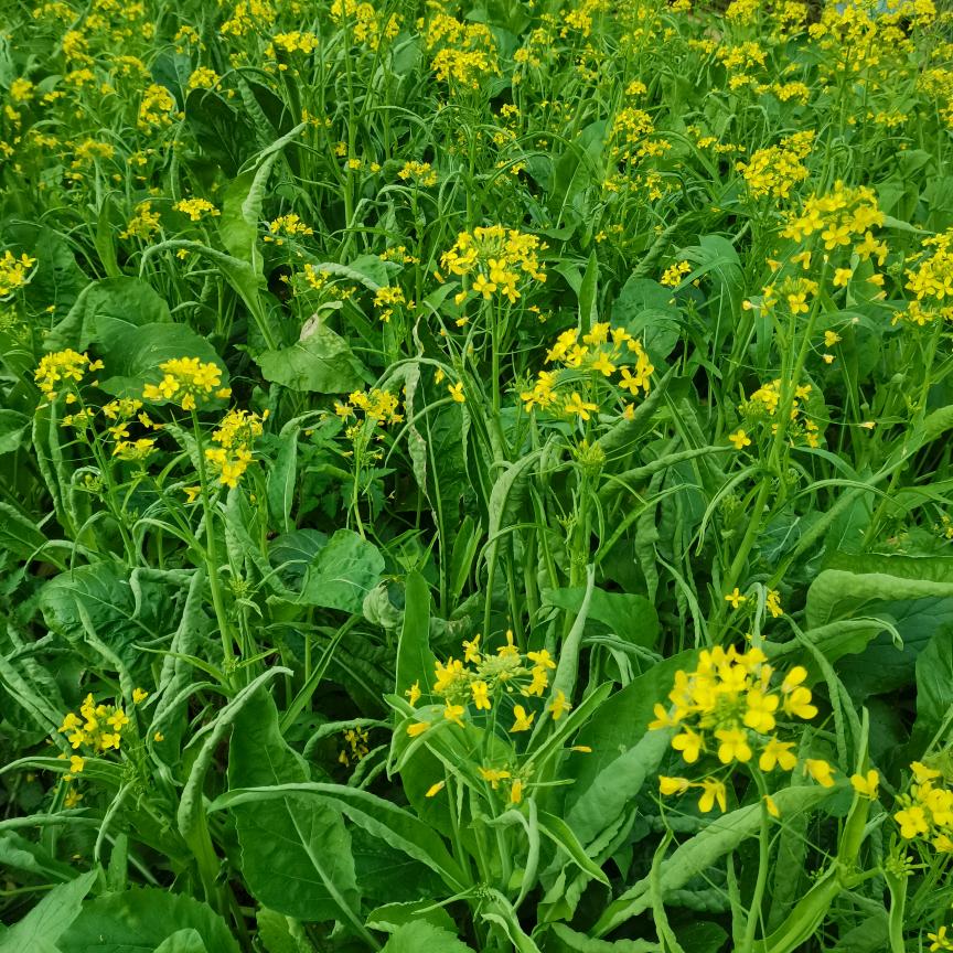 ꧁💞꧔ꦿ幸运℘相随᭄ᩚ꯭ᩚ💞᭄᪲ᩚ꯭