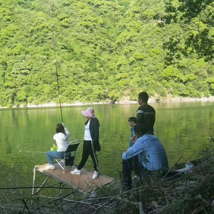 曙光人家（民宿）茶旅垂钓中心
