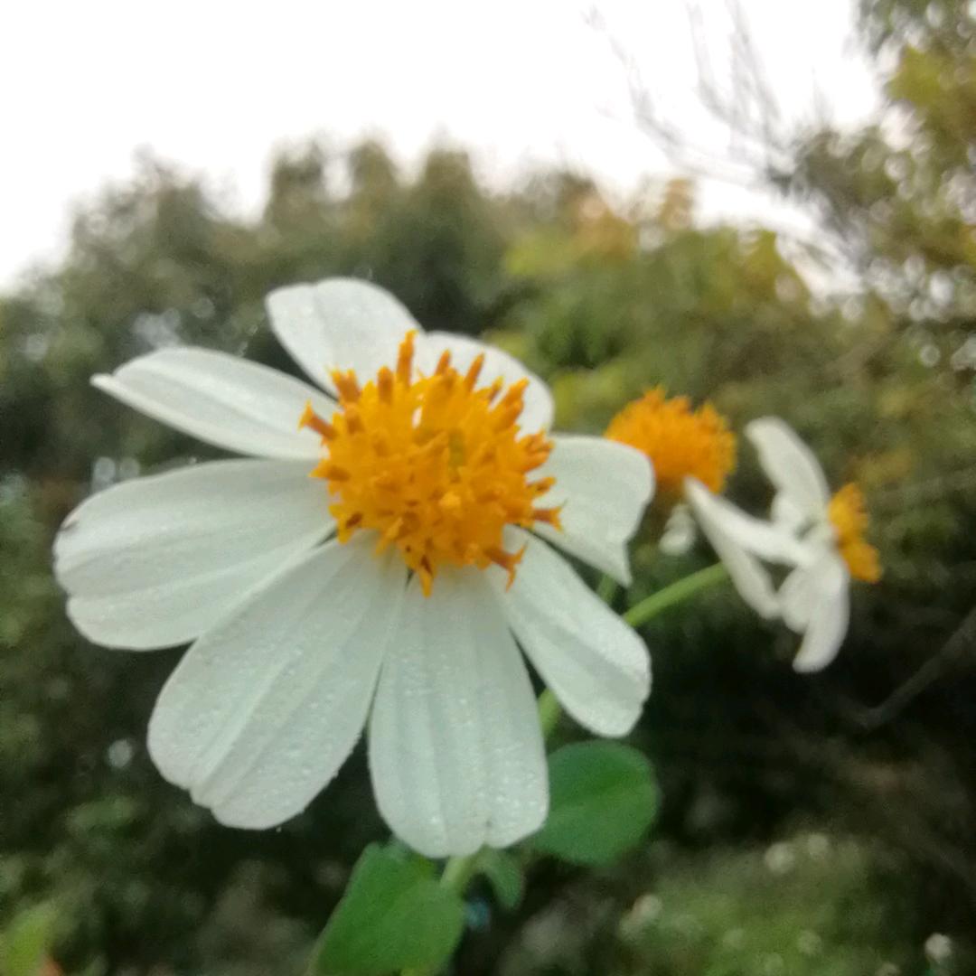错  觉