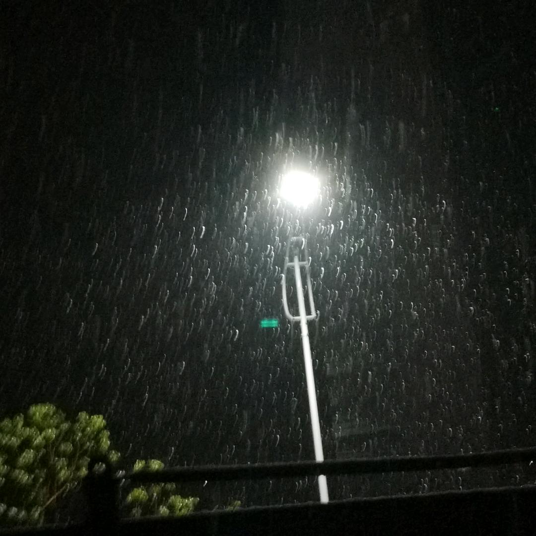 书向红笺