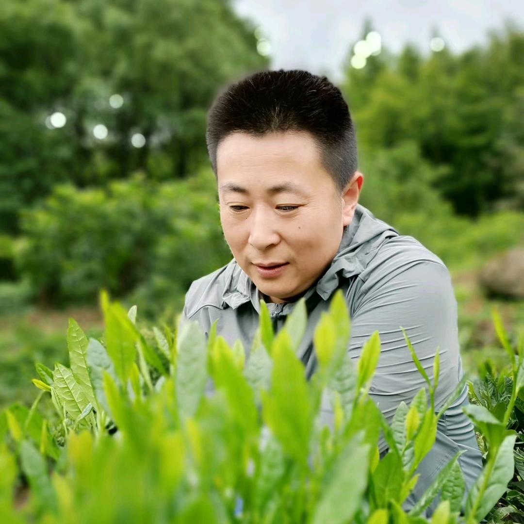 陵阳子明