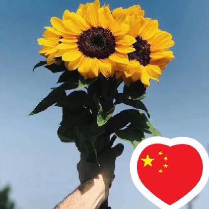 甜莉