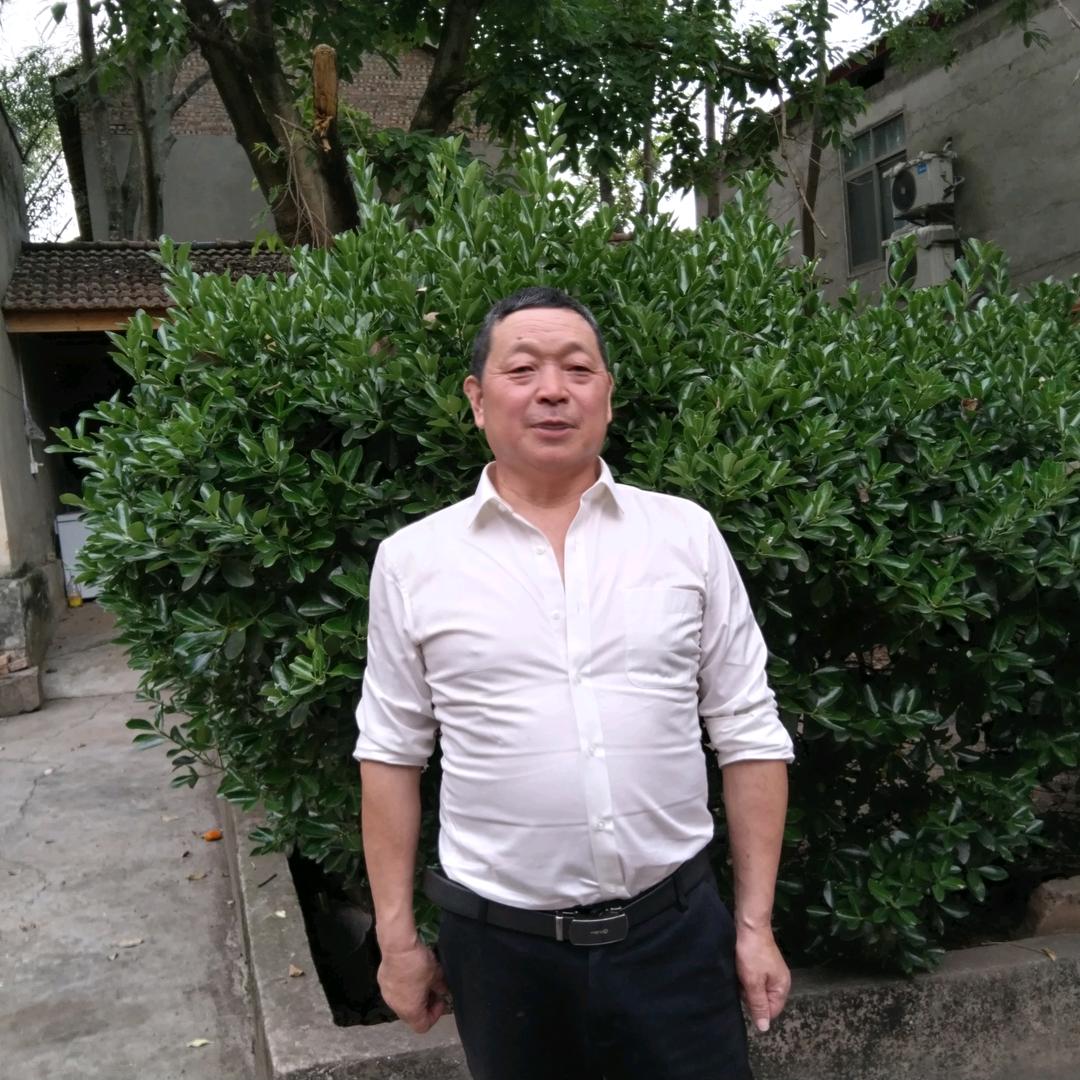 学敏
