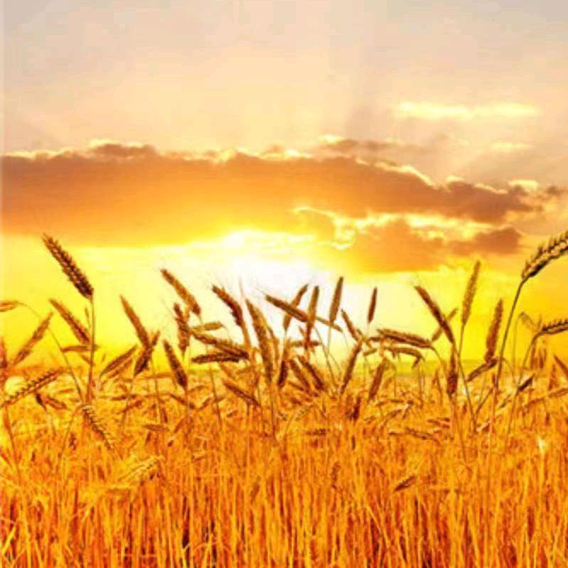 山海悦🎂主题包厢餐厅（时光颂对面）