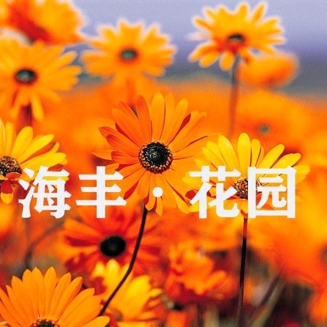 海丰花园