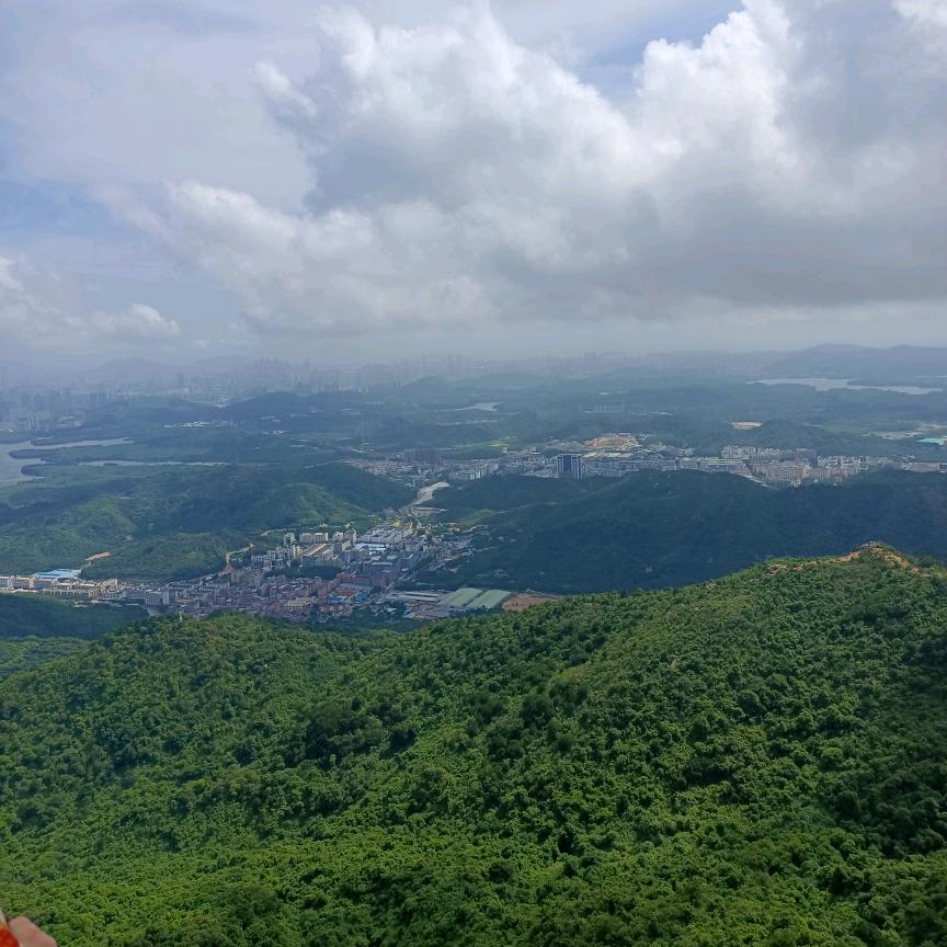 共度余生