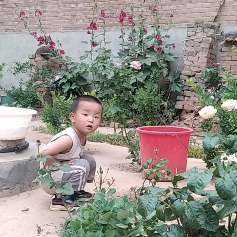 小胖妞冬佳妈咪