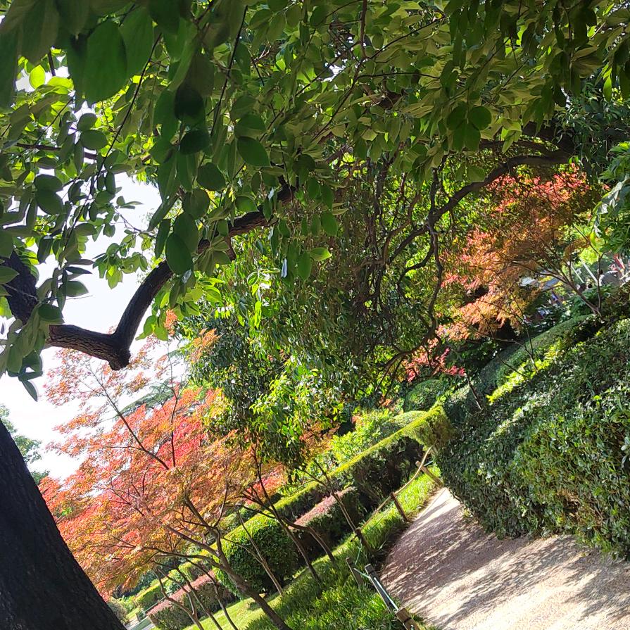 清雅时尚凤（拒绝私聊）不定时开播