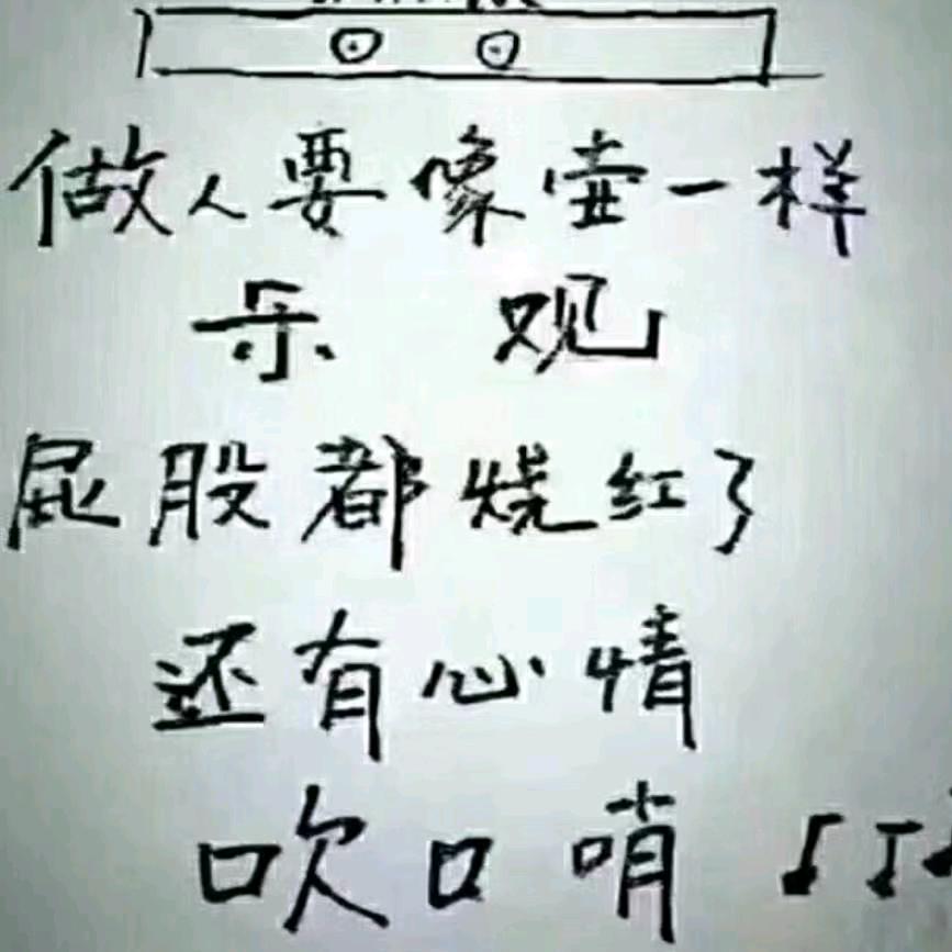 张驰有度