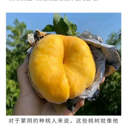 蜜桃儿熟了