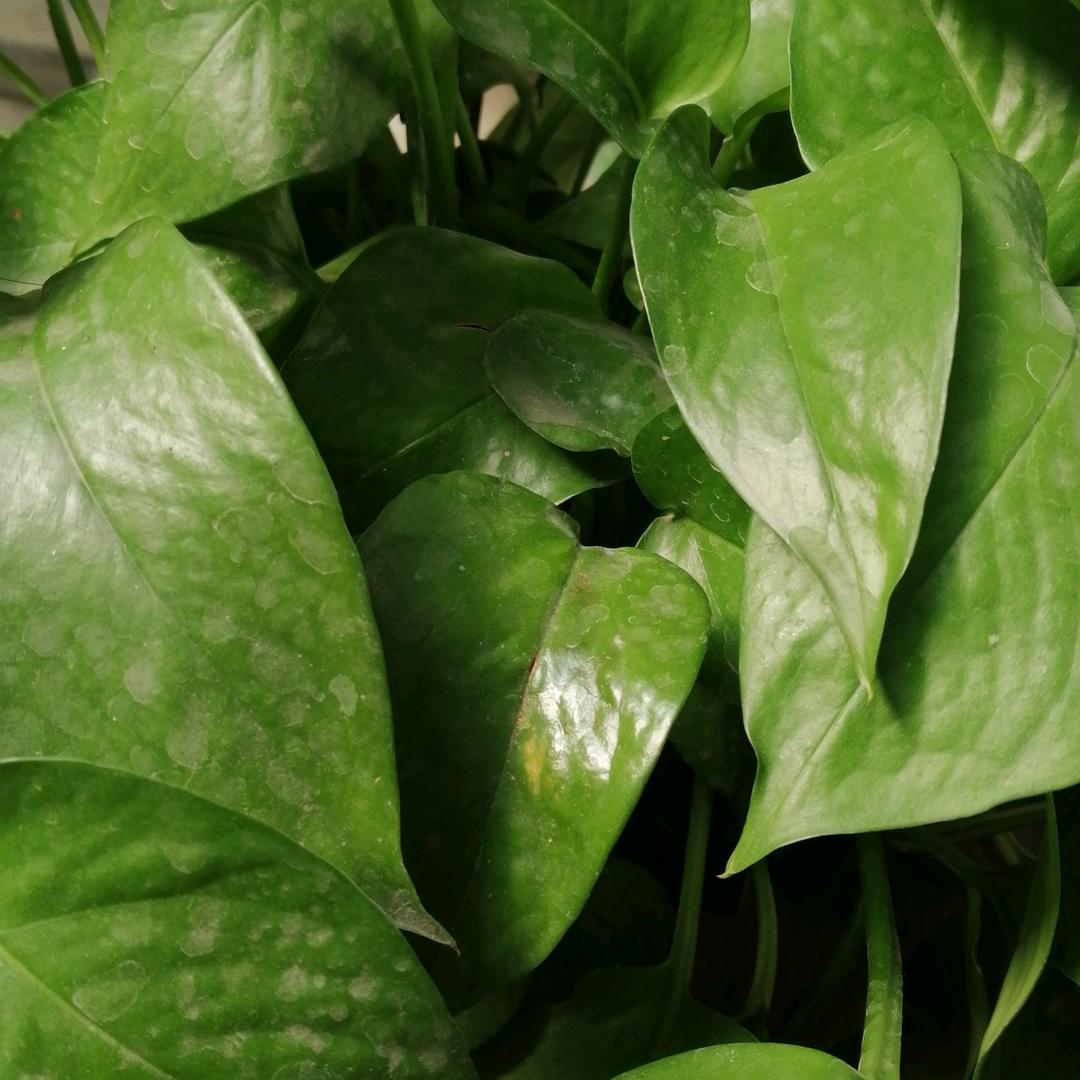 鑫盛源家居地毯