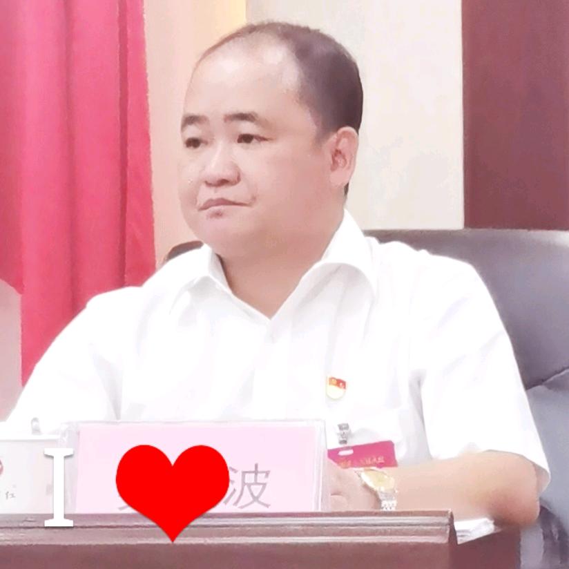 波书记