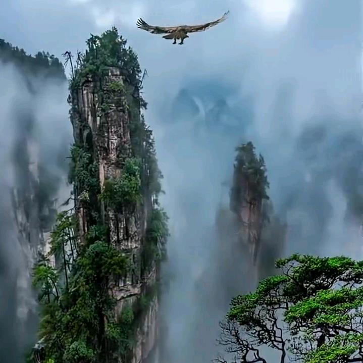 £🌻点悦初心🌻🌹🍎