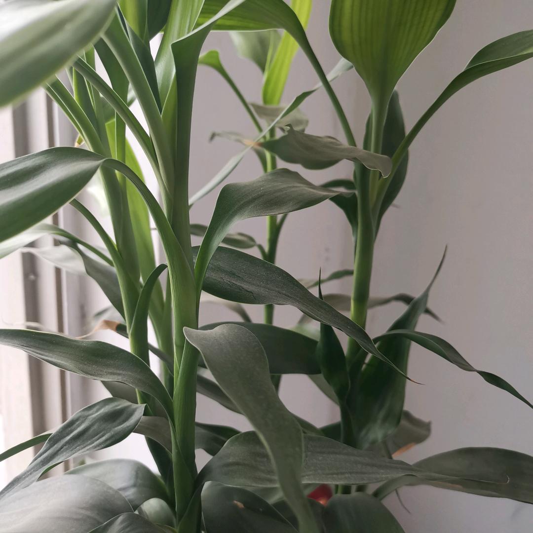 润泽